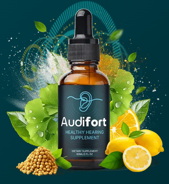 AudiFort